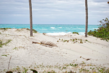 Varadero sandy beach, Cuba 