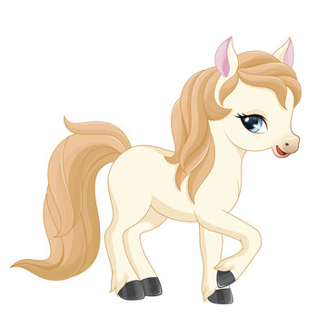 Little pony illustration.
