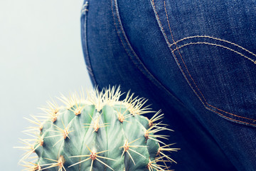 Men's ass sits down on a cactus. Conceptual image of a hemorrhoid and other diseases