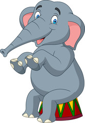 Cartoon cute elephant sitting