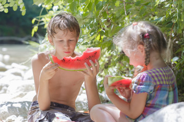 Outdoor weekend picnic with watermelon of two happy siblings