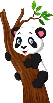 Cartoon panda climbing a tree