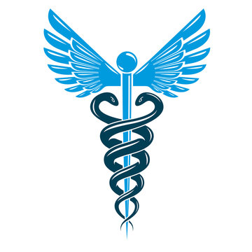 Caduceus symbol made using bird wings and poisonous snakes, healthcare conceptual vector illustration.