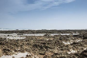 reef at low tide with tide pools