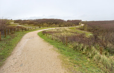 Obraz premium coastal dune scenery