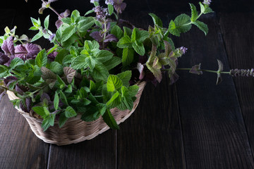 Basket with fresh green mint on dark  background.