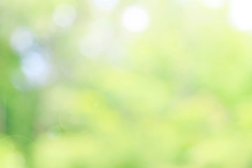Natural green background with spring or summer