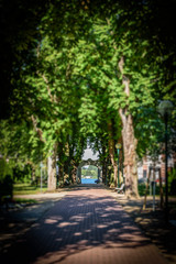 Hauptweg des Friedhof Prenzlau
