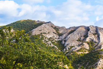 Mountain forest landscape under evening sky