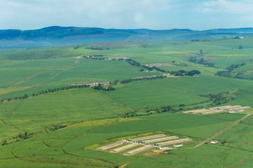 Naklejka premium Flying Farmlands Fields Chicken Pens