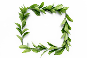 frame workspace with green leaves and branches isolated on white background. lay flat, top view