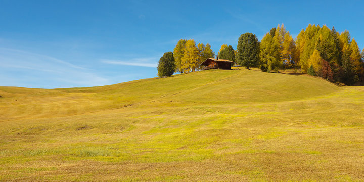 Autumnal landscape with a meadow, small hut and color trees