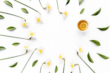 Round frame with white flower narcissus buds, branches and leaves isolated on white background. lay flat, top view