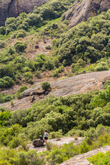 Cote d'Azure Landscape