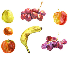 Set of fruits. Vegetarian food