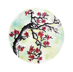 flowering plum branch © hikolaj2