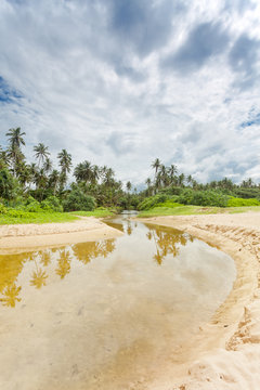 Balapitiya, Sri Lanka - A wild river leading towards the virgin forest of Balapitiya Beach
