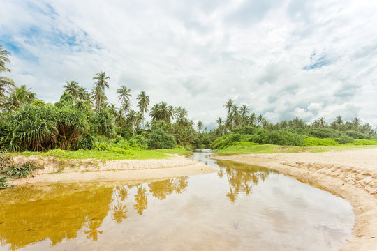 Balapitiya, Sri Lanka - A wild, small river leading towards the virgin forest of Balapitiya Beach