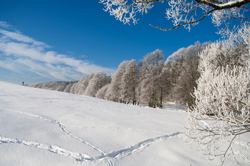 Im Schnee