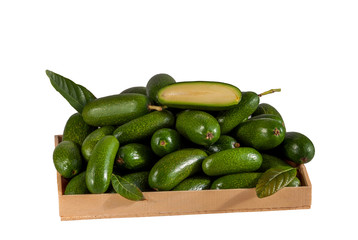 Fresh seedless cocktail avocado in the box isolated on white background. Cucumber or cocktail avocado without any seed. New genetic gift for avocado fans.