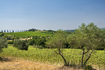Fototapeta na wymiar Landscape in Umbria near Todi