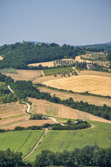 Fototapeta na wymiar Landscape in Umbria near Todi
