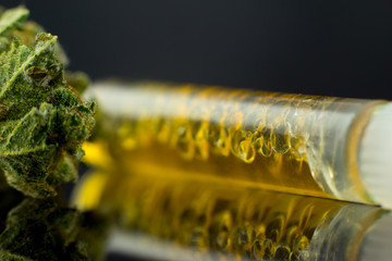 Medical Oil Cannabis - flower marijuana and oil cannabis  on the mirror background. 