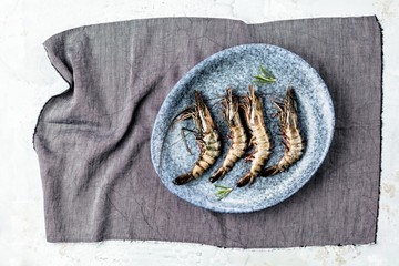 Frische Tieger Garnele auf einem beton hintergrund