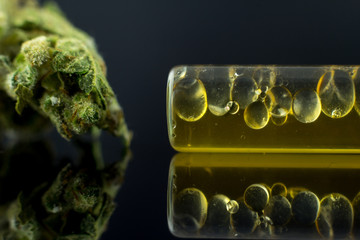 Medical Oil Cannabis - flower marijuana and oil cannabis  on the mirror background. 