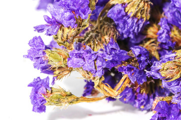 Background violet statice flower background use for decoration