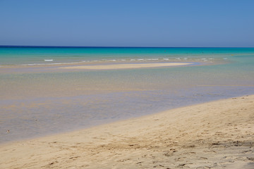 Fototapeta na wymiar Jandia beach Risco el Paso Fuerteventura at Canary Islands of Spain