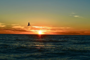 Fototapeta premium Sunset 
