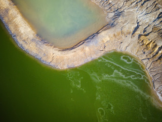 Abstract of Pond With Geese
