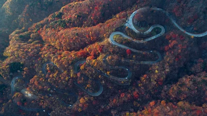Washable wall murals Japan Beautiful curvy street on the Nikko mountain, Japan. Aerial view
