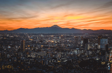 Tokyo skyline and buildings from above, view of the Tokyo prefecture with fuji mount in the background
