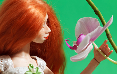 Doll and flower