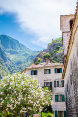 Beautiful narrow streets of old town Kotor, Montenegro.