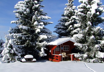malerisches schwedenrotes Gartenhaus zwischen hohen Tannen bei Neuschnee und Sonnenschein