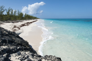 Empty Caribbean Beach