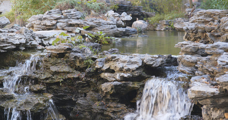 Water pond in garden, Chinese garden