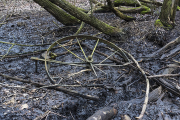 Sumpf im Wald, altes Rad liegt im Sumpf, Müll im Sumpf
