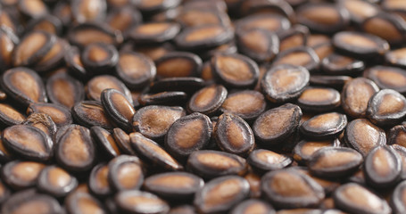 Black Melon Seeds
