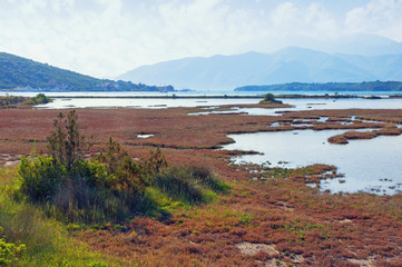 Salt marsh . View of special nature reserve Solila - swamp area of the coastal part of the Bay of Kotor (Adriatic Sea). Tivat, Montenegro