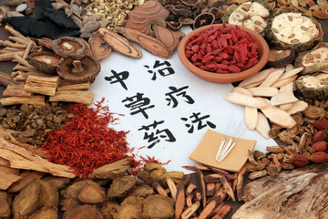 Chinese alternative medicine with herb selection and acupuncture needles with calligraphy script on...