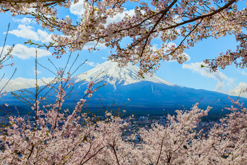 The Mount Fuji.Foreground is a cherry blossoms.The shooting location is Fujiyoshida City, Yamanashi Prefecture, Japan.