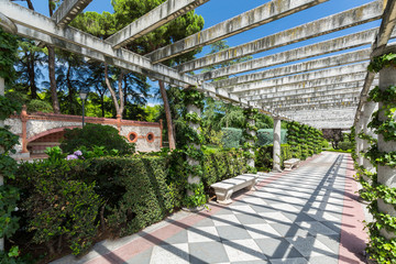 Fototapeta premium The Buen Retiro Park - Madrid - Spain