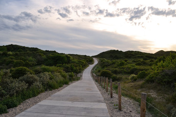 Fototapeta premium Strandweg in Koudekerke