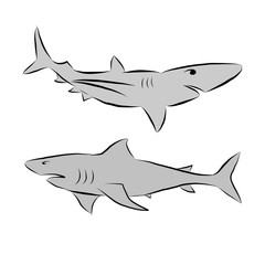 Obraz premium Sharks Vector Illustration