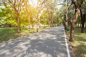 Long road with green field