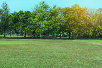 Green beautiful park